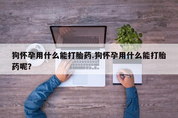 流产药微信联系方式无副作用狗怀孕用什么能打胎药.狗怀孕用什么能打胎药呢？