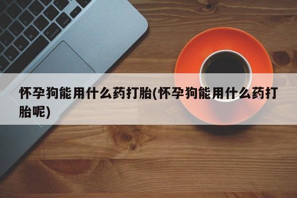 流产药微信联系方式无副作用怀孕狗能用什么药打胎(怀孕狗能用什么药打胎呢)